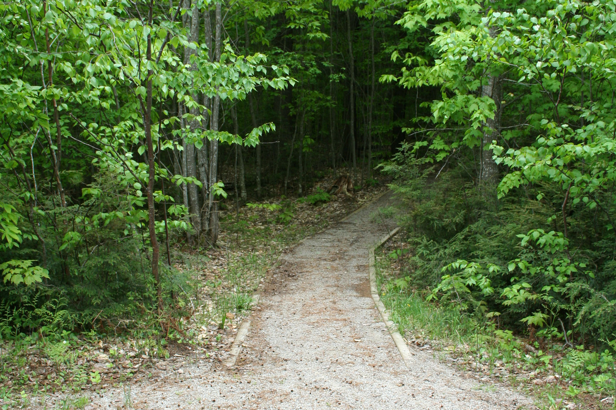 Grand Island Cabins Trail